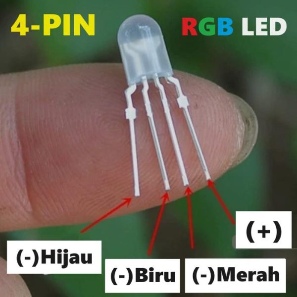 Grosir Lampu LED RGB 4P Kaki 4-Pin 5mm Red Green Blue Merah Hijau Biru